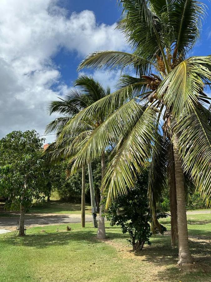 Апартаменты New! Bluestone Getaway In Christiansted Usvi ! Экстерьер фото