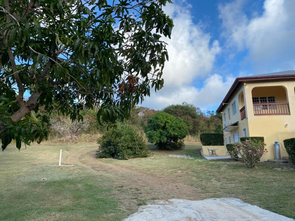 Апартаменты New! Bluestone Getaway In Christiansted Usvi ! Экстерьер фото